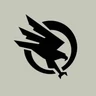 Black Raven eSports logo